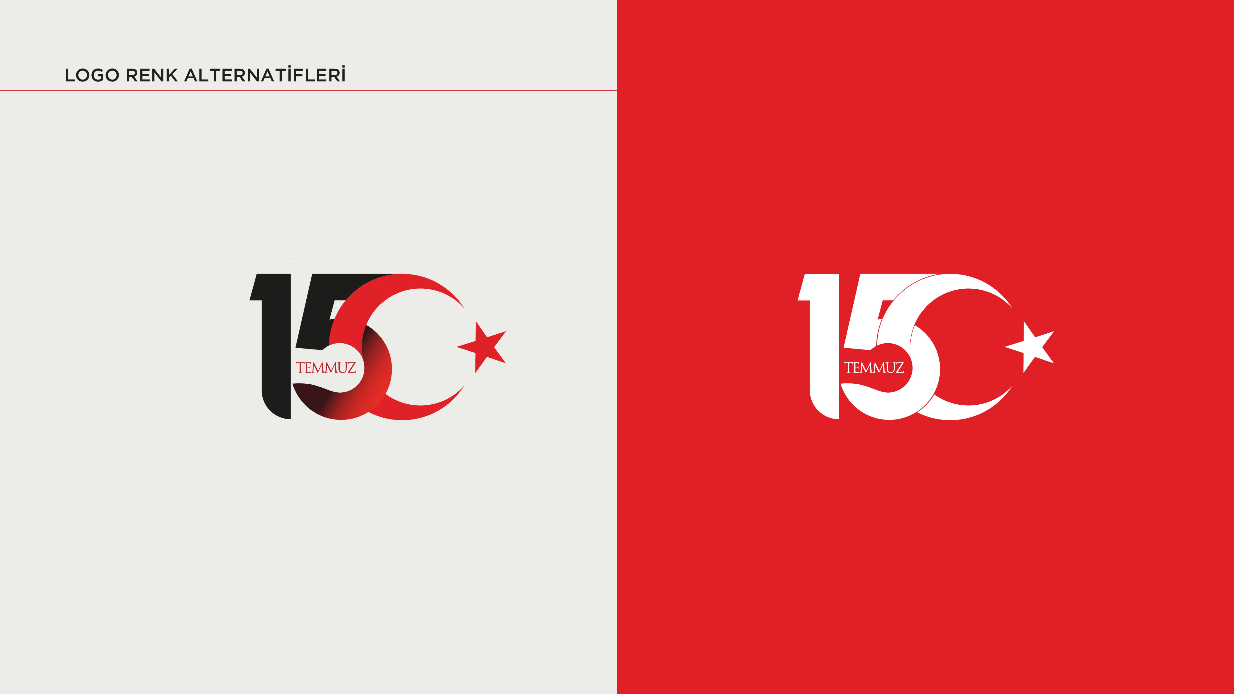 Logo Renk Alternatifleri